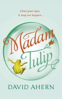Madam Tulip by David Ahern