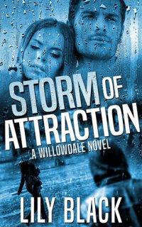 Storm of Attraction by Lily Black