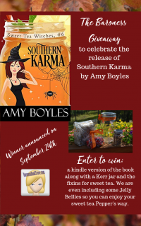 Giveaway of Southern Karma by Amy Boyles