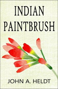 Indian Paintbrush by John A Heldt