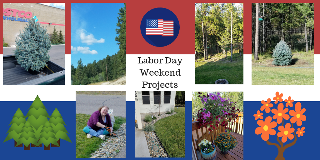 Labor Day Yard work Sep 1 - 2 2018