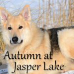 Autumn at Jasper Lake by Carol Ross