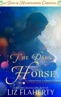 The Dark Horse by Liz Flaherty