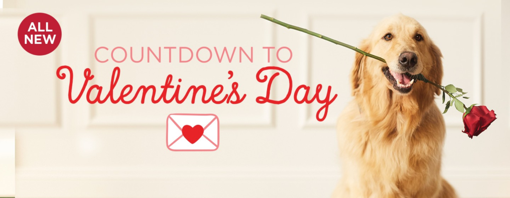 Hallmark's Countdown to Valentine's Day Header