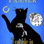 Trouble in Summer Valley by Susan Y Tanner -4