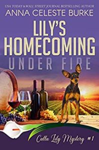 Lily's Homecoming Under Fire by Anna Celeste Burke