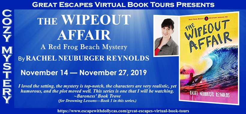 The Wipeout Affair by Rachel Neuburger Reynolds