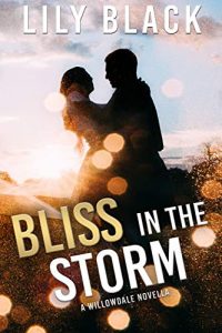 Bliss in the Storm by Lily Black