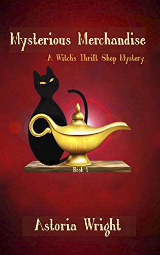 Mysterious Merchandise by Astoria Wright