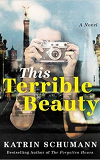 This Terrible Beauty by Katrin Schumann
