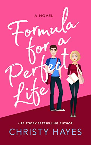 FORMULA FOR A PERFECT LIFE by Christy Hayes