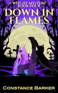 Down in Flames by Constance Barker