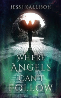 Where Angels Can’t Follow by Jessi Kallison