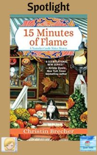 15 Minutes of Flame by Christin Brecher ~ Spotlight