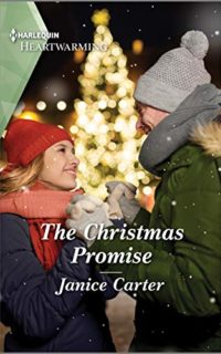 The Christmas Promise by Janice Carter