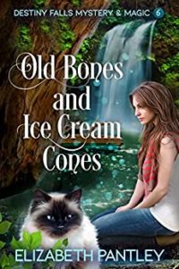 Old Bones and Ice Cream Cones by Elizabeth Pantley