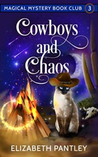 Cowboys and Chaos by Elizabeth Pantley
