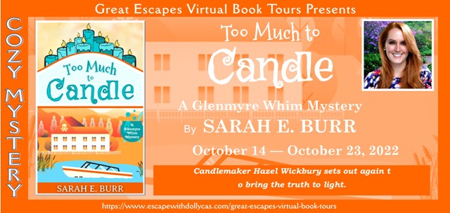 Too Much to Candle by Sarah E. Burr ~ Spotlight