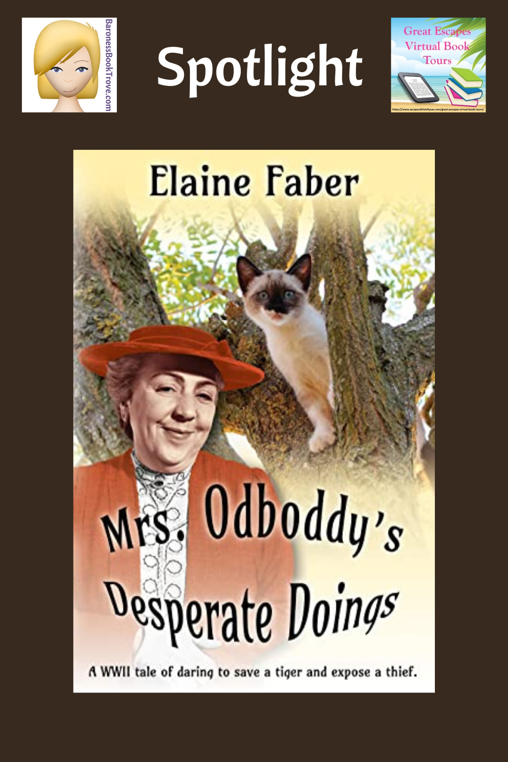 Mrs Odboddy's Desperate Doings SL
