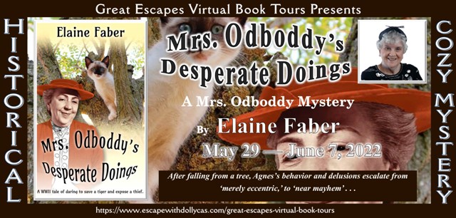 Mrs. Odboddy's Desperate Doings by Elaine Faber ~ Spotlight