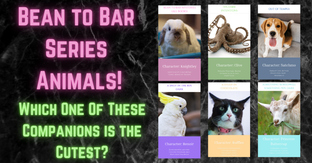 Animals in Bean to Bar Wide Box