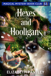 Hexes and Hooligans by Elizabeth Pantley