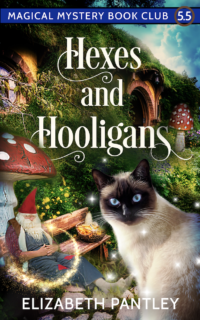 Hexes and Hooligans by Elizabeth Pantley