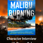 Malibu Burning CI and BR