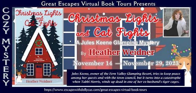 Christmas Lights and Cat Fights by Heather Weidner ~ Spotlight