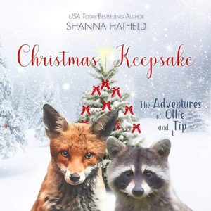 Christmas Keepsake by Shanna Hatfield