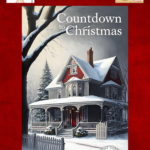 Countdown to Christmas SL