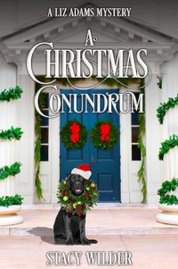A Christmas Conundrum by Stacy Wilder