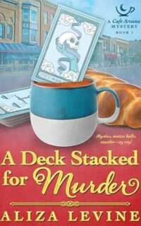 A Deck Stacked for Murder by Aliza Levine