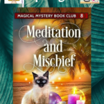 Meditation and Mischief SL