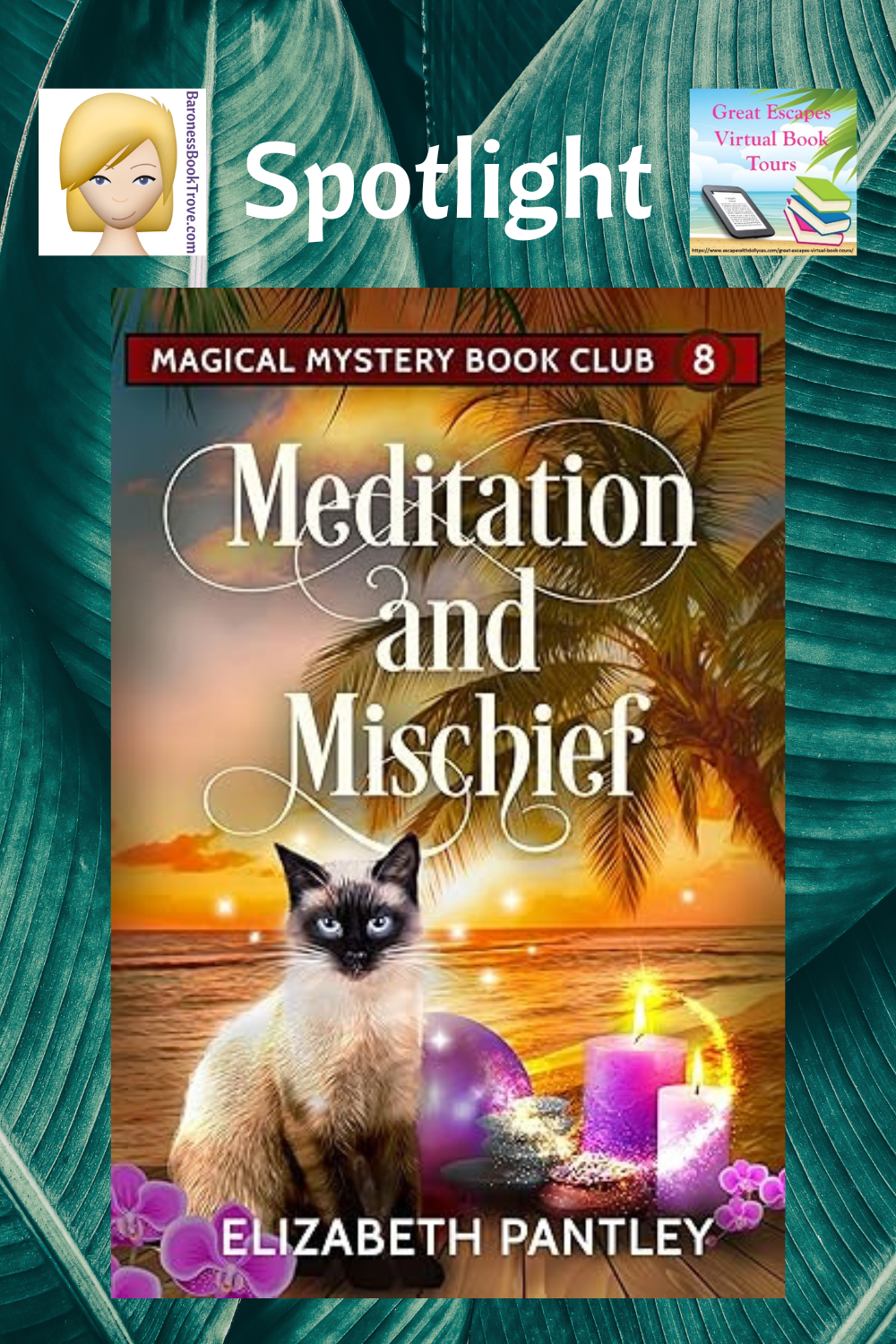 Meditation and Mischief SL