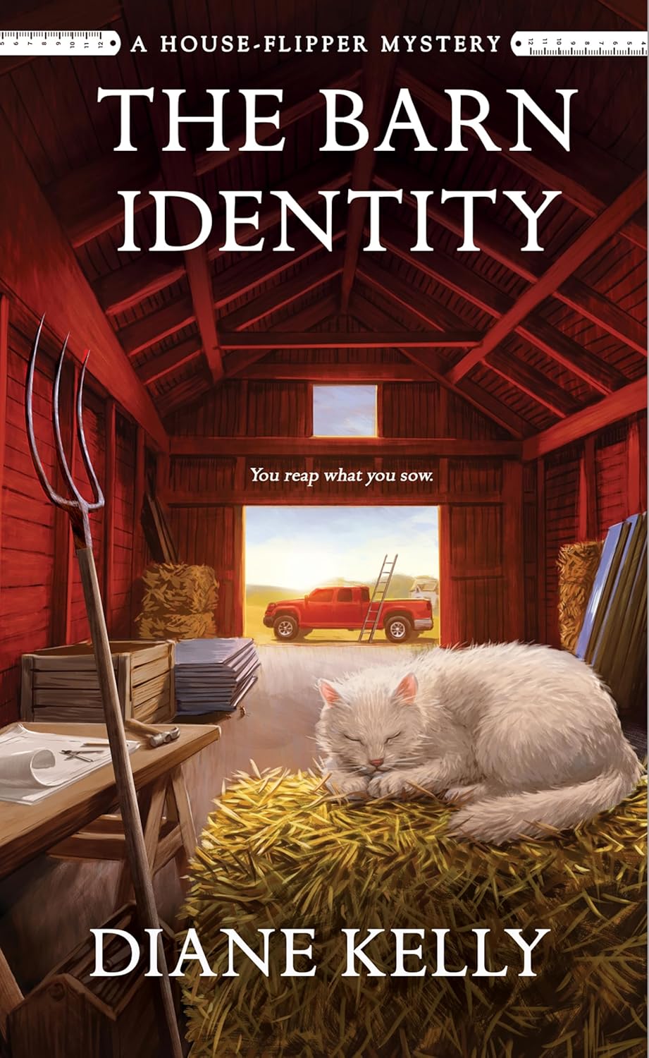 The Barn Identity by Diane Kelly