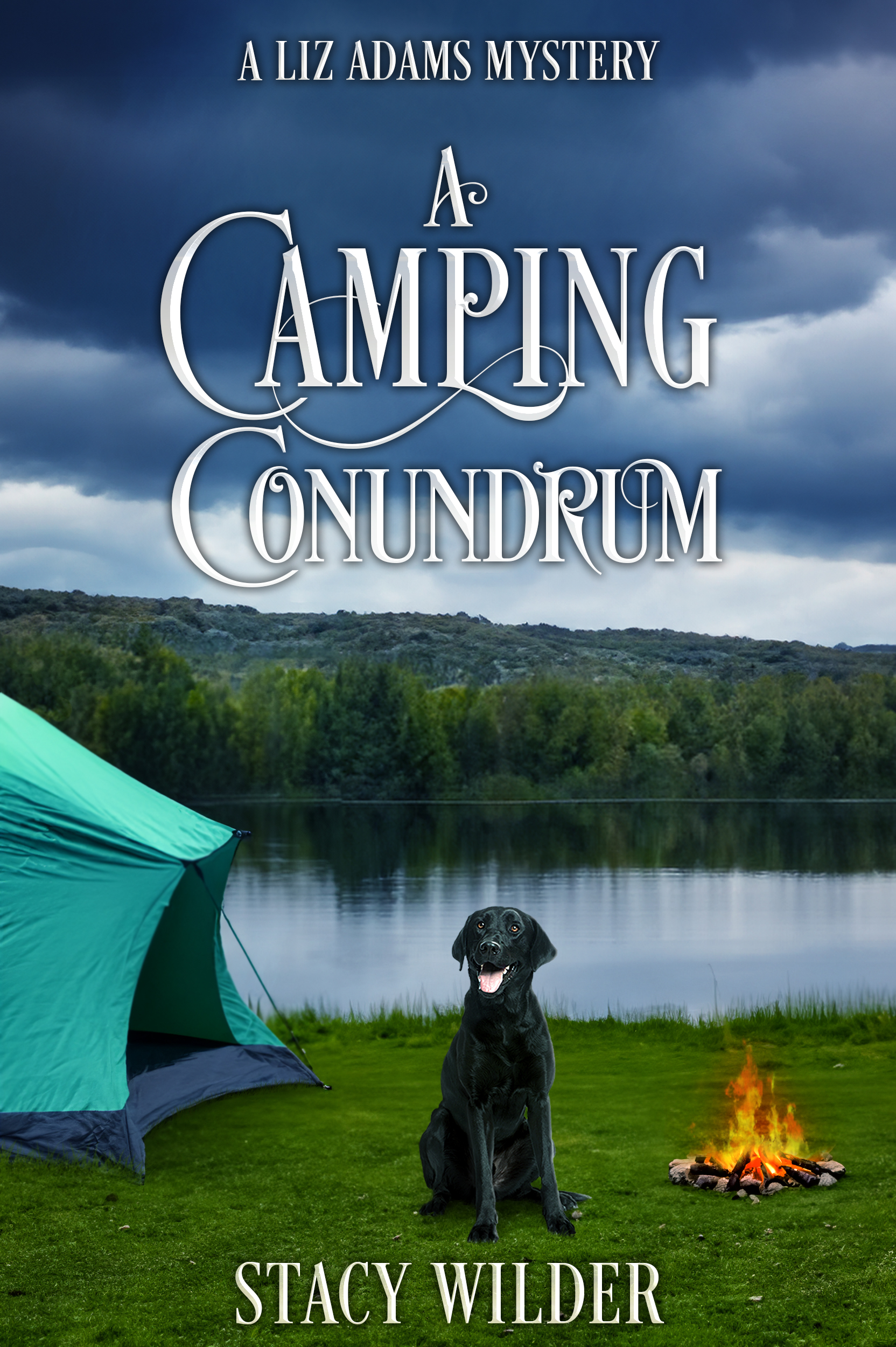 A Camping Conundrum by Stacy Wilder