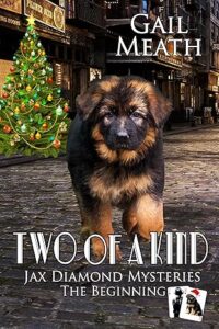 Two of a Kind by Gail Meath