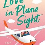 Love in Plane Sight by Lauren Connolly