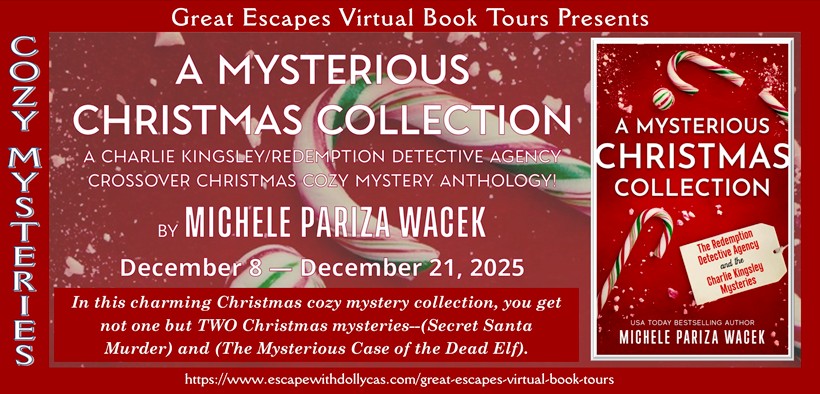 A Mysterious Christmas Collection by Michele Pariza Wacek ~ Character Interview