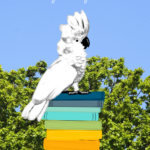 Jen's 2026 Reading Challenges