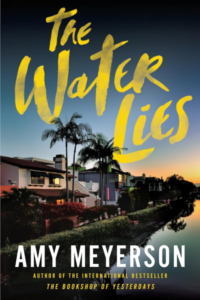 The Water Lies by Amy Meyerson