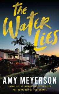The Water Lies by Amy Meyerson