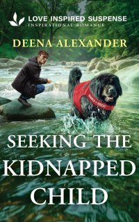 Seeking the Kidnapped Child by Deena Alexander